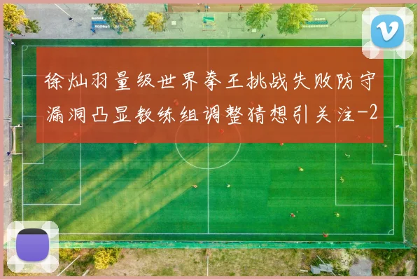 徐灿羽量级世界拳王挑战失败防守漏洞凸显教练组调整猜想引关注