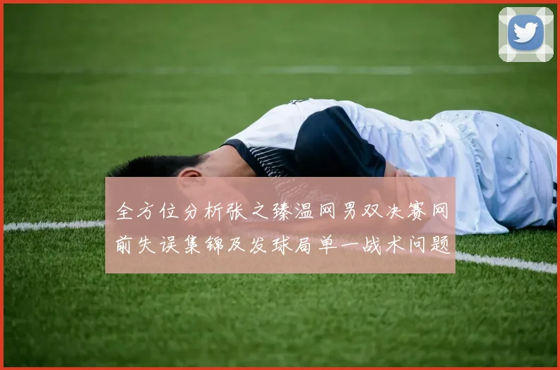 全方位分析张之臻温网男双决赛网前失误集锦及发球局单一战术问题