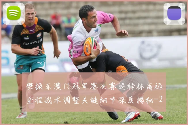 樊振东澳门冠军赛决赛逆转林高远全程战术调整关键细节深度揭秘
